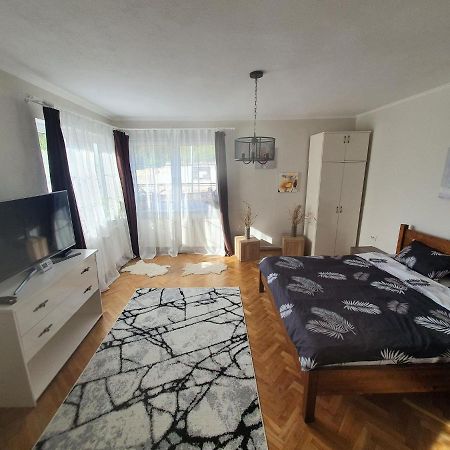 Andrea Apartman Sfântu-Gheorghe エクステリア 写真