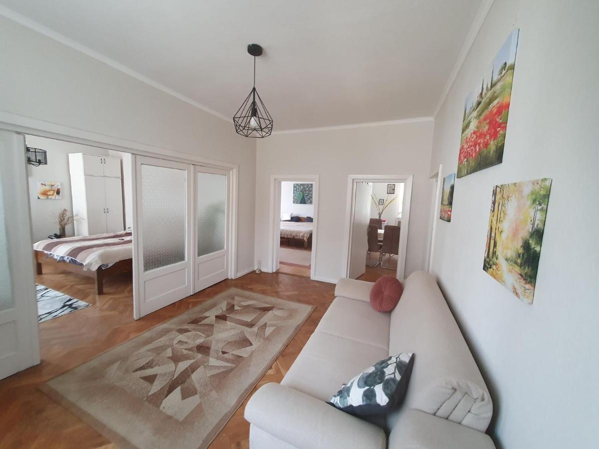Andrea Apartman Sfântu-Gheorghe エクステリア 写真