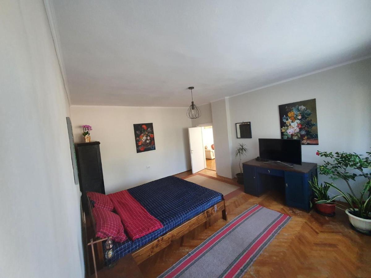 Andrea Apartman Sfântu-Gheorghe エクステリア 写真