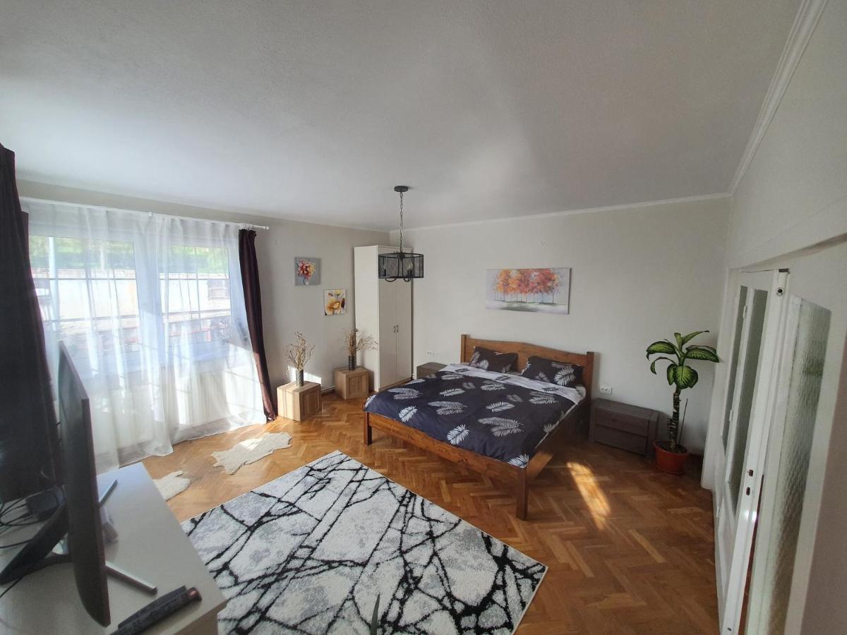 Andrea Apartman Sfântu-Gheorghe エクステリア 写真