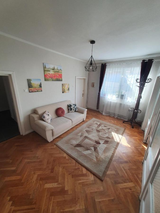 Andrea Apartman Sfântu-Gheorghe エクステリア 写真